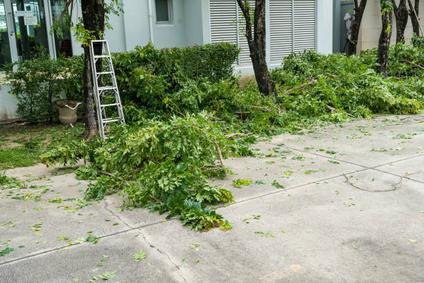 Best Leaf Removal  in Southport, IN